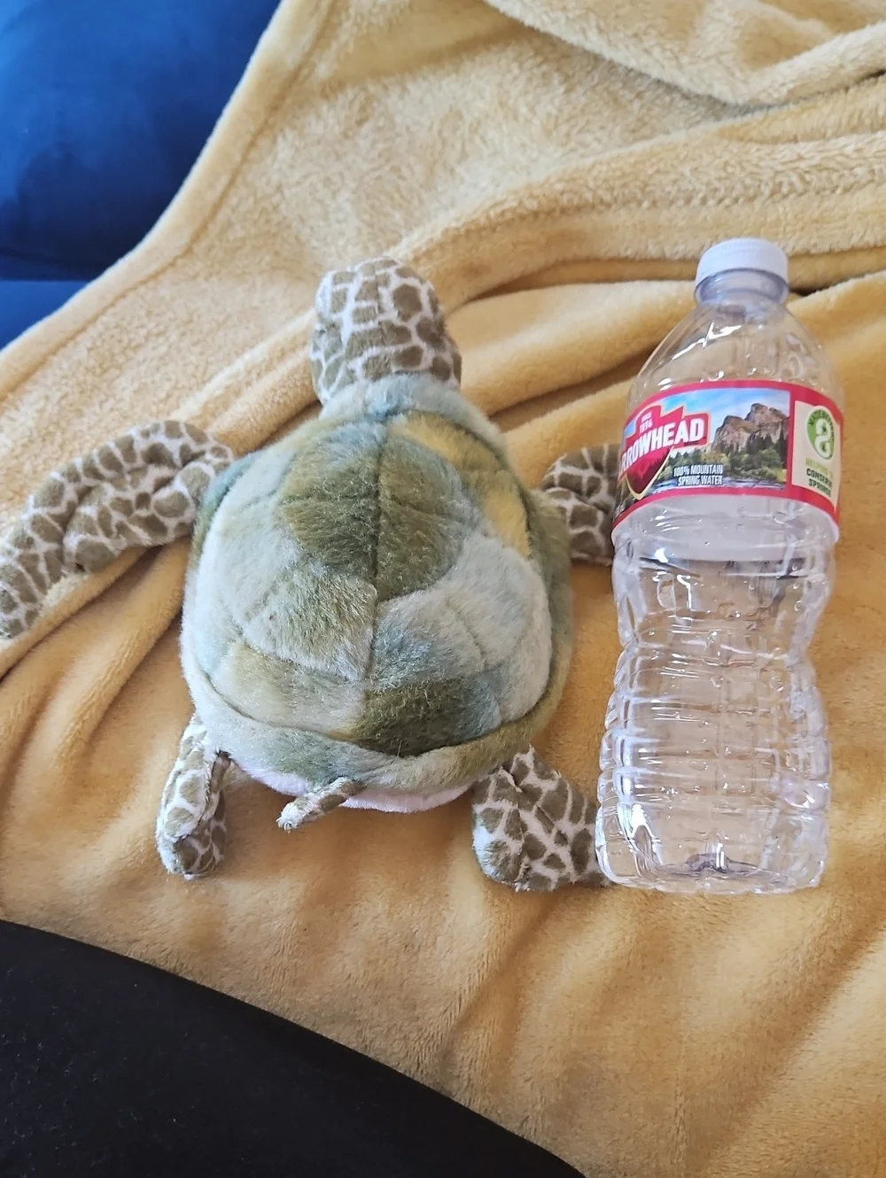 Plush Turtle Reptile Toy - Green and Tan